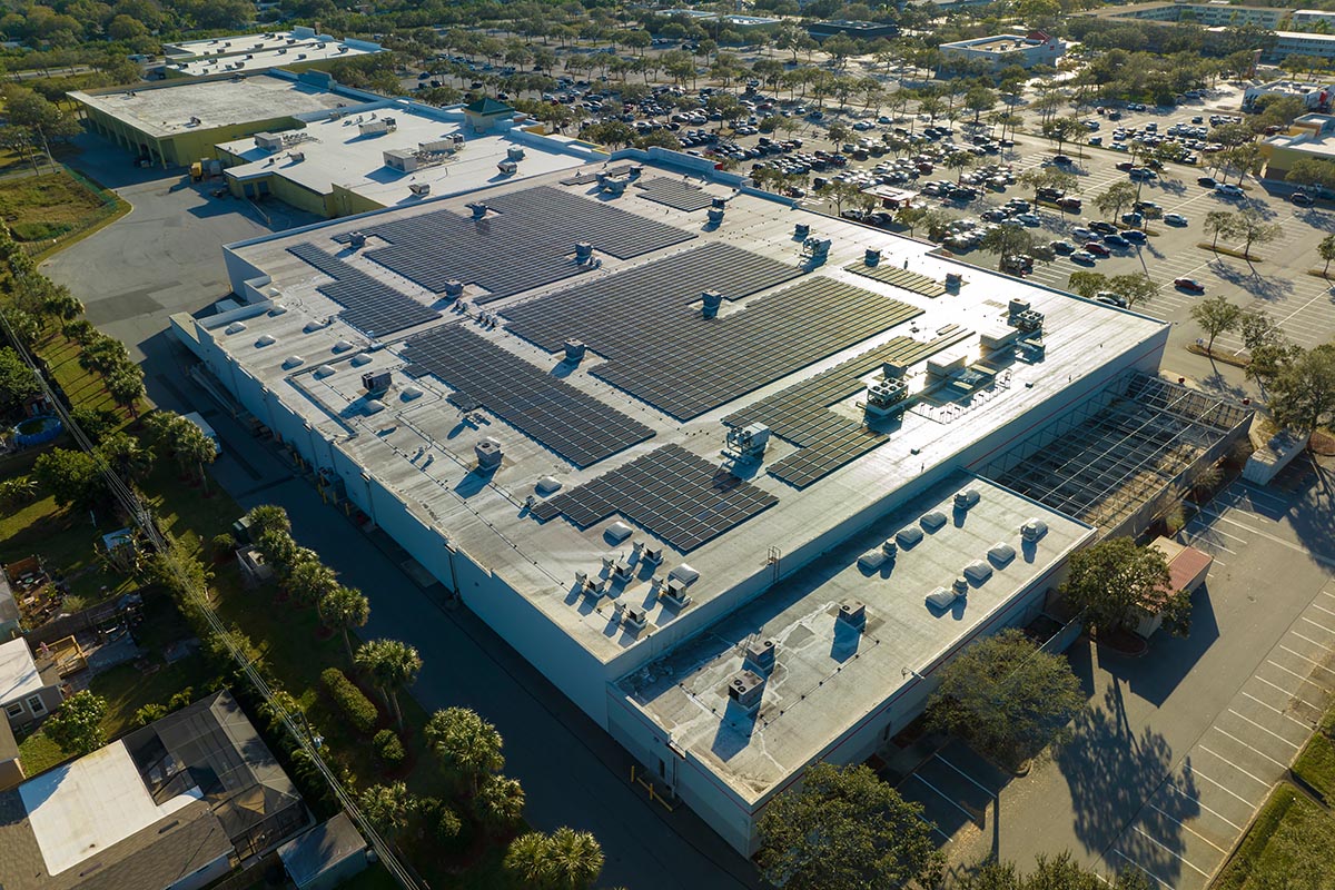 Eco-Friendly 3PL Practices in Toronto That Are Fostering Sustainability