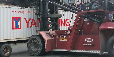 Drayage2024